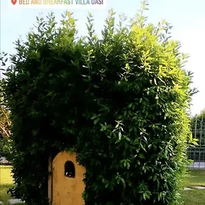 Oasi Frühstückspension San Giuliano Terme